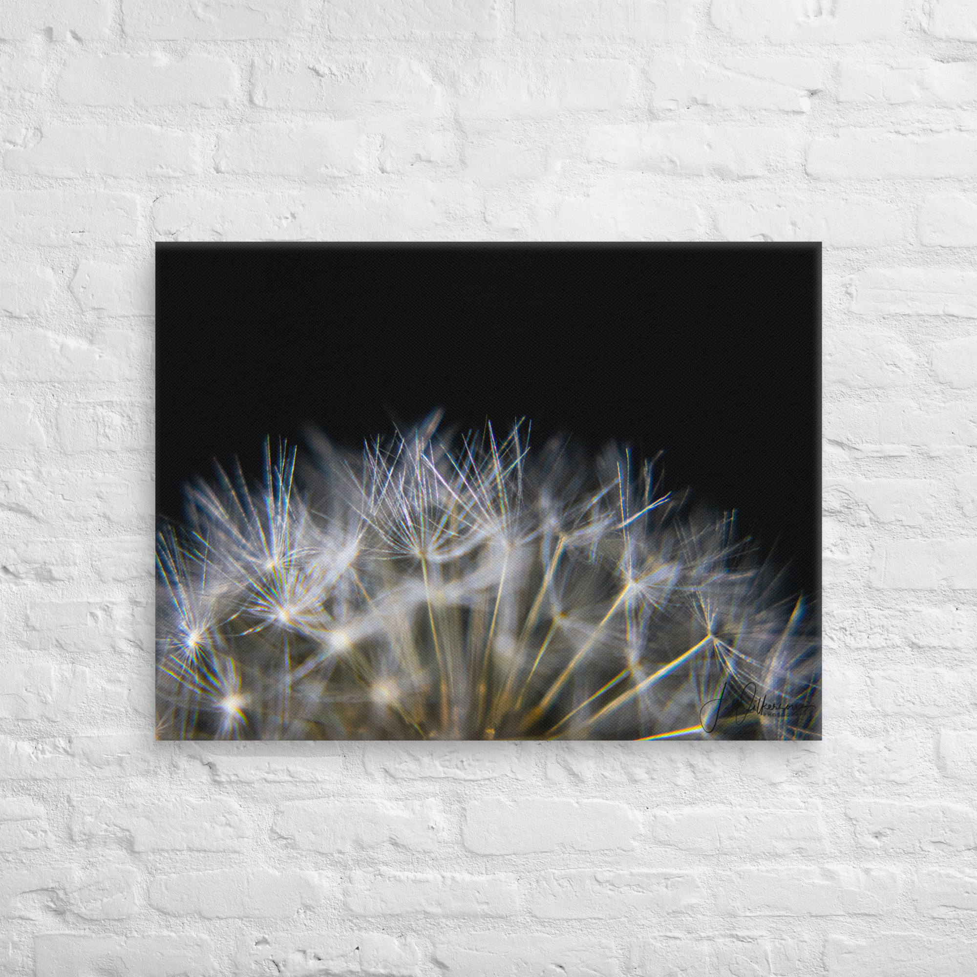 DANDELION - Image 13